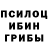 Псилоцибиновые грибы мухоморы Sasha Matwyenko