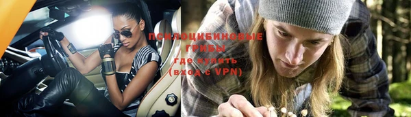 индика Кукмор