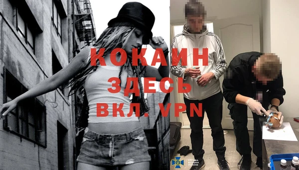 индика Кукмор