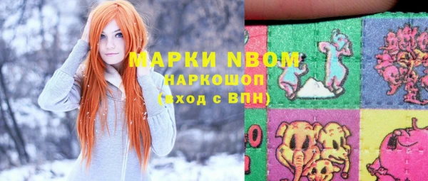 индика Кукмор