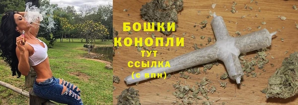 индика Кукмор