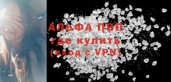 индика Кукмор