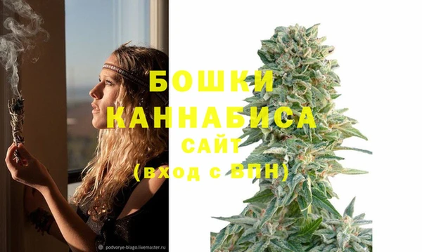индика Кукмор