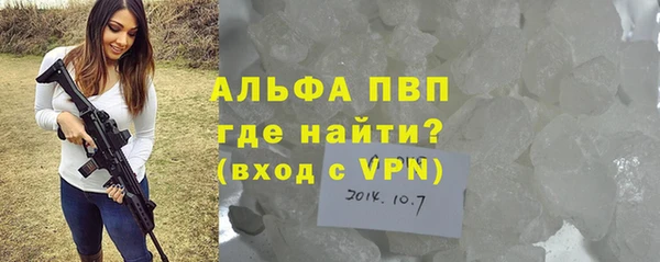 индика Кукмор