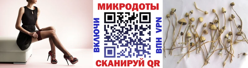 закладки  Нефтеюганск  Псилоцибиновые грибы ЛСД 